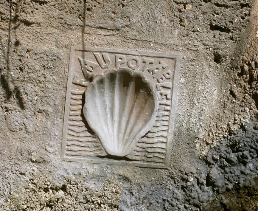 shell, Way of St. James