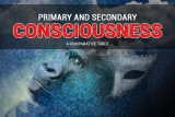 Primary and secondary consciousness: a comparative table