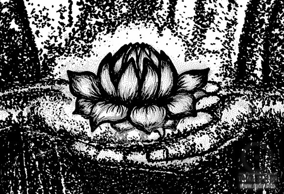 Fragment of Agapit drawing – Lotus