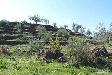 Пирамиды Алькантара (VALLEY DELL'ALCANTARA)