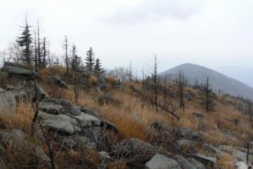 гора Пидан (Ливадийская)