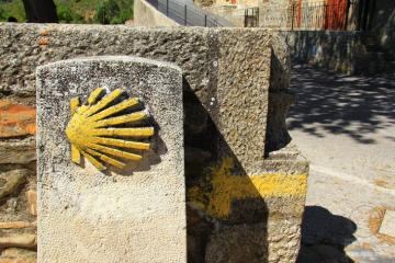 Раковина, путь Святого Иакова