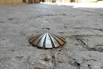 Раковина, путь Святого Иакова