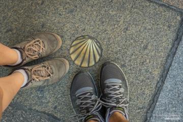 Раковина, путь Святого Иакова