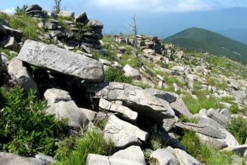 гора Пидан (Ливадийская)