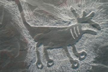 Петроглифы 5 животные