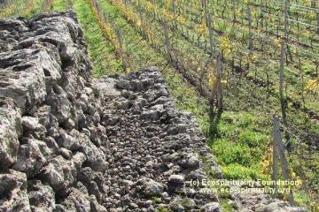 Пирамиды Алькантара (VALLEY DELL'ALCANTARA)