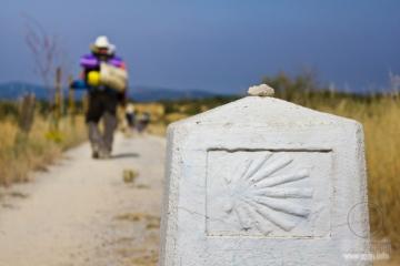 Раковина, путь Святого Иакова