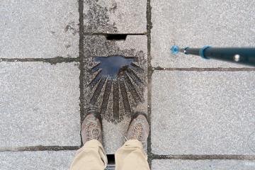 Раковина, путь Святого Иакова