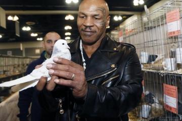 Майк Тайсон и голуби