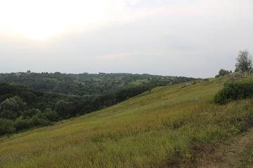 гора Красуха, Виточев