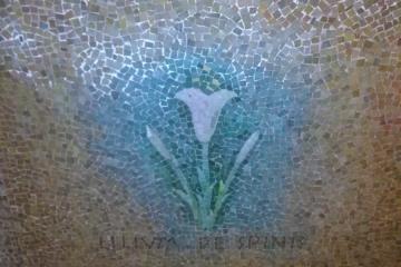 Уделы Девы Марии.