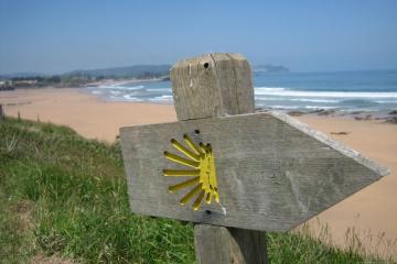 Раковина, путь Святого Иакова