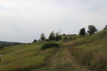 гора Красуха, Виточев