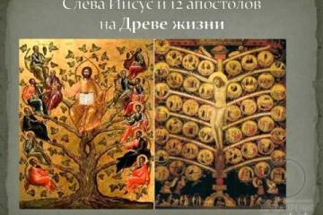 Мировое дерево