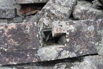 Черная сопка