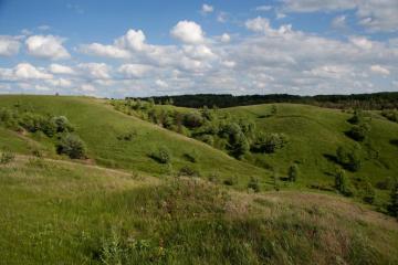 Родень, Княжа гора