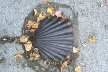 Раковина, путь Святого Иакова