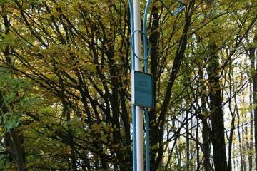 Родень, Княжа гора