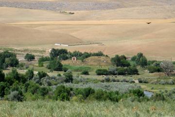 Городища Казахстана