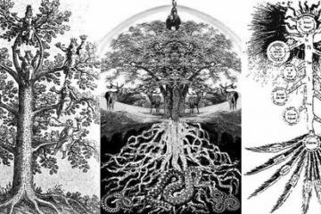 Мировое дерево