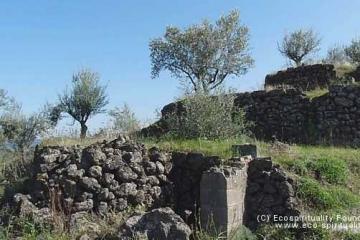 Пирамиды Алькантара (VALLEY DELL'ALCANTARA)