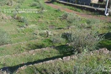 Пирамиды Алькантара (VALLEY DELL'ALCANTARA)