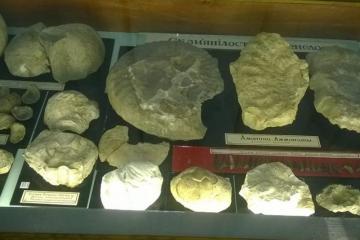 Родень, Княжа гора