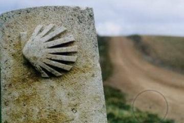 Раковина, путь Святого Иакова