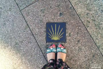 Раковина, путь Святого Иакова