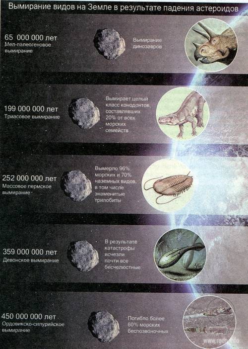вымирание видов на земле в результате падения астероидов