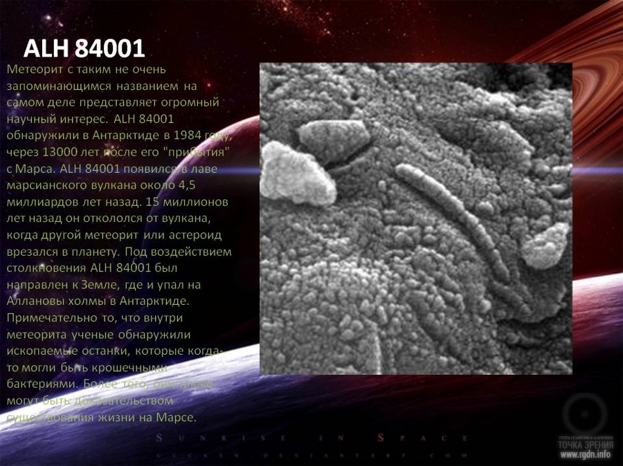 Марсианский метеорит ALH 84001