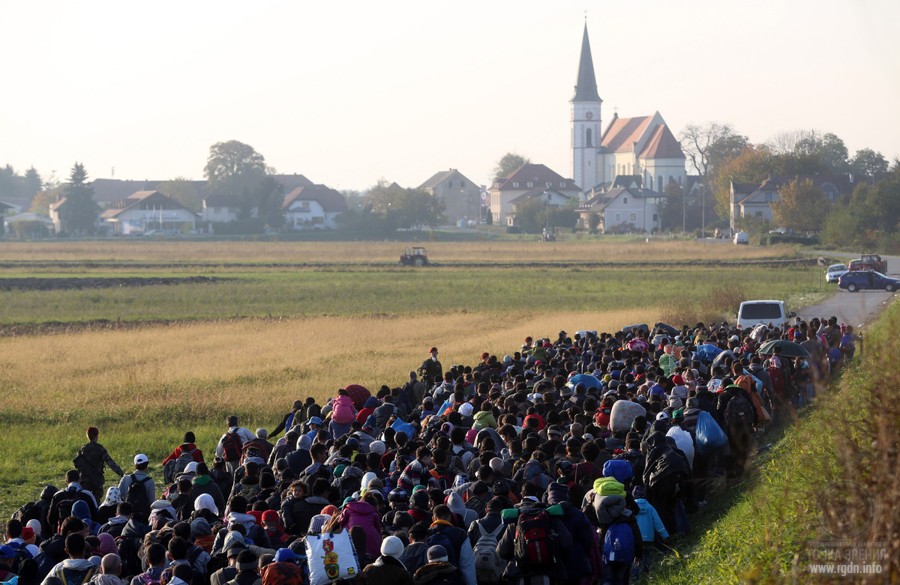 беженцы в Европу