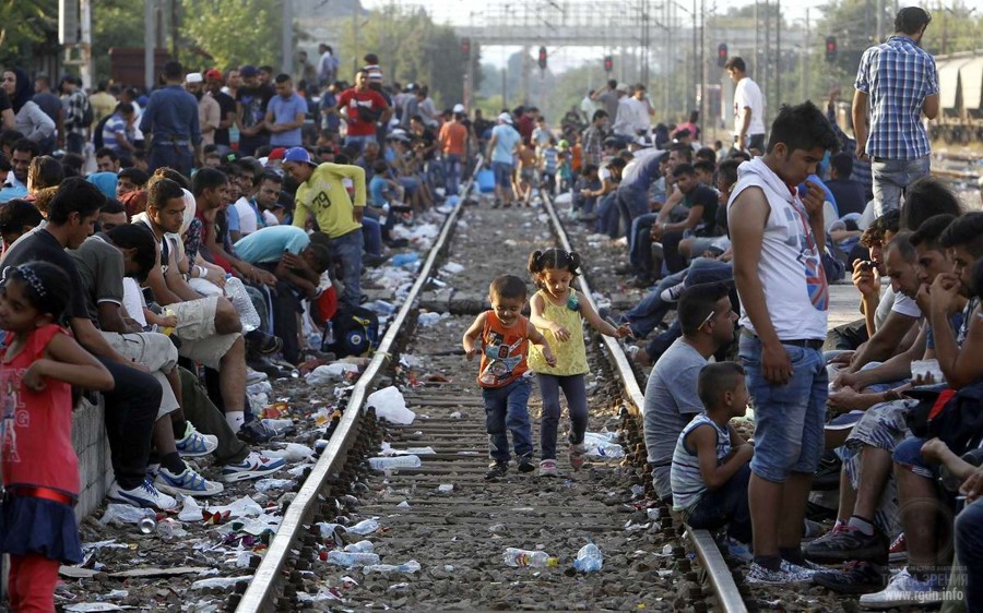 беженцы в европу